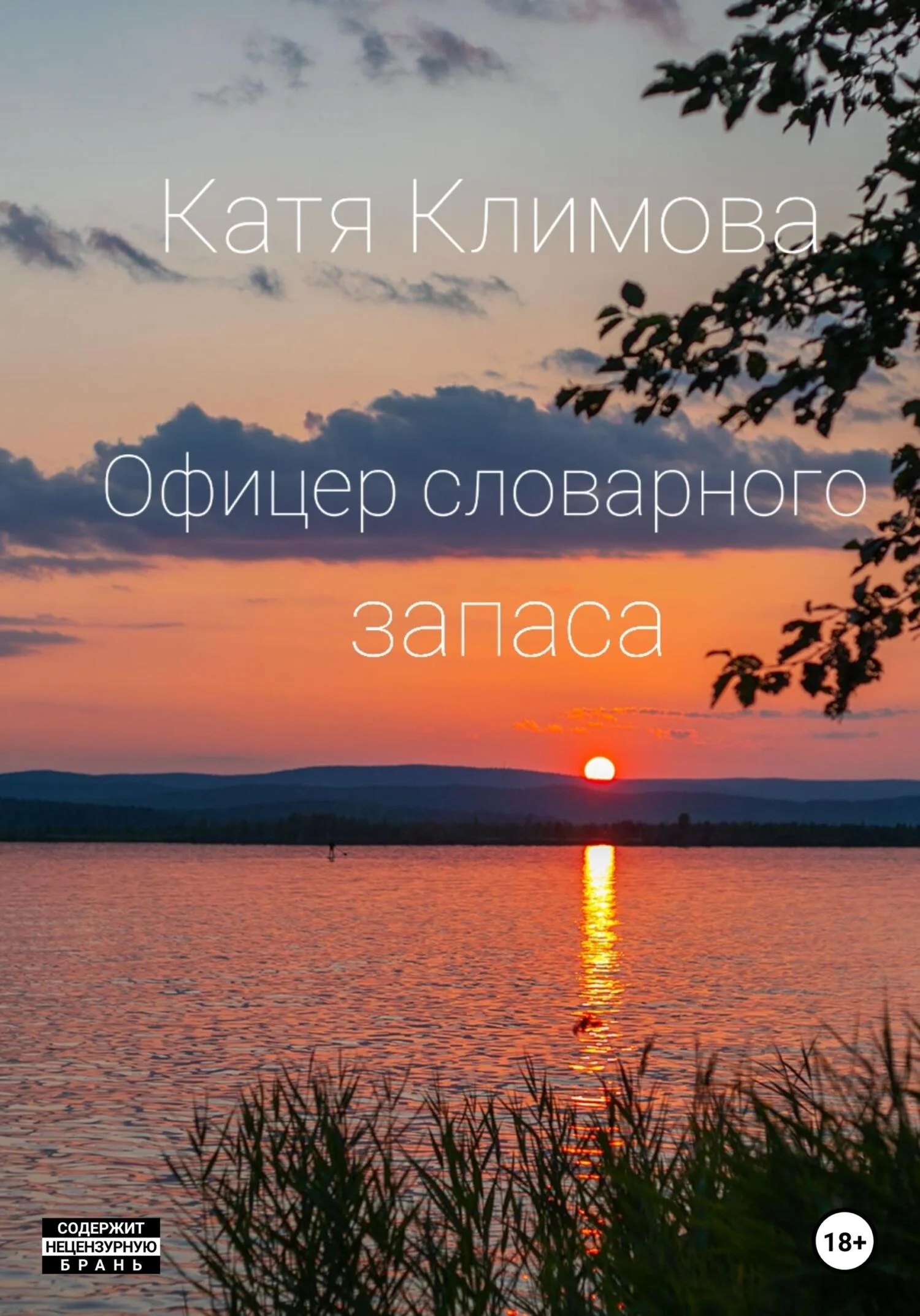 Обложка Офицер словарного запаса