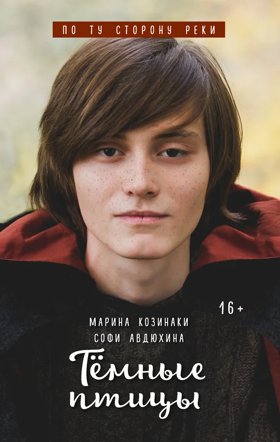 Обложка Тёмные птицы