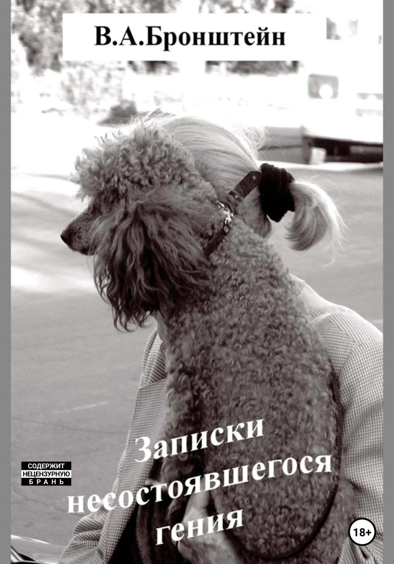 Обложка Записки несостоявшегося гения