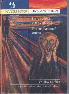 Обложка Пятая зима магнетизёра