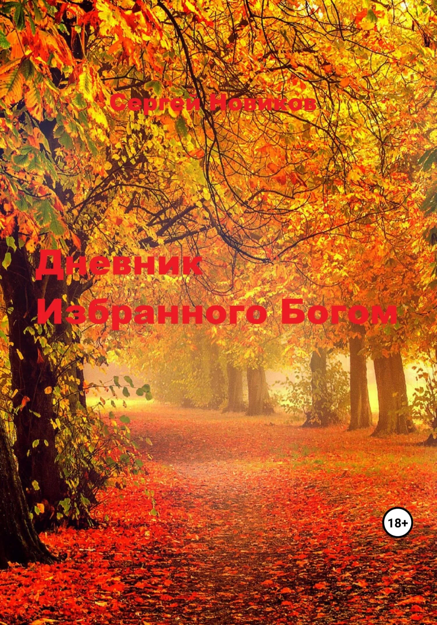 Обложка Дневник Избранного Богом