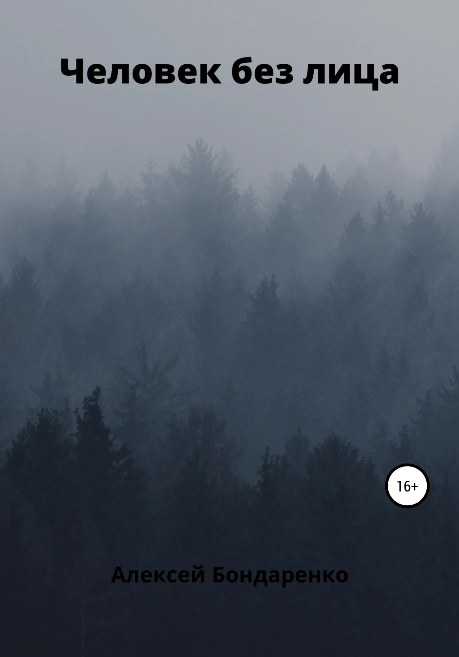 Обложка Человек без лица