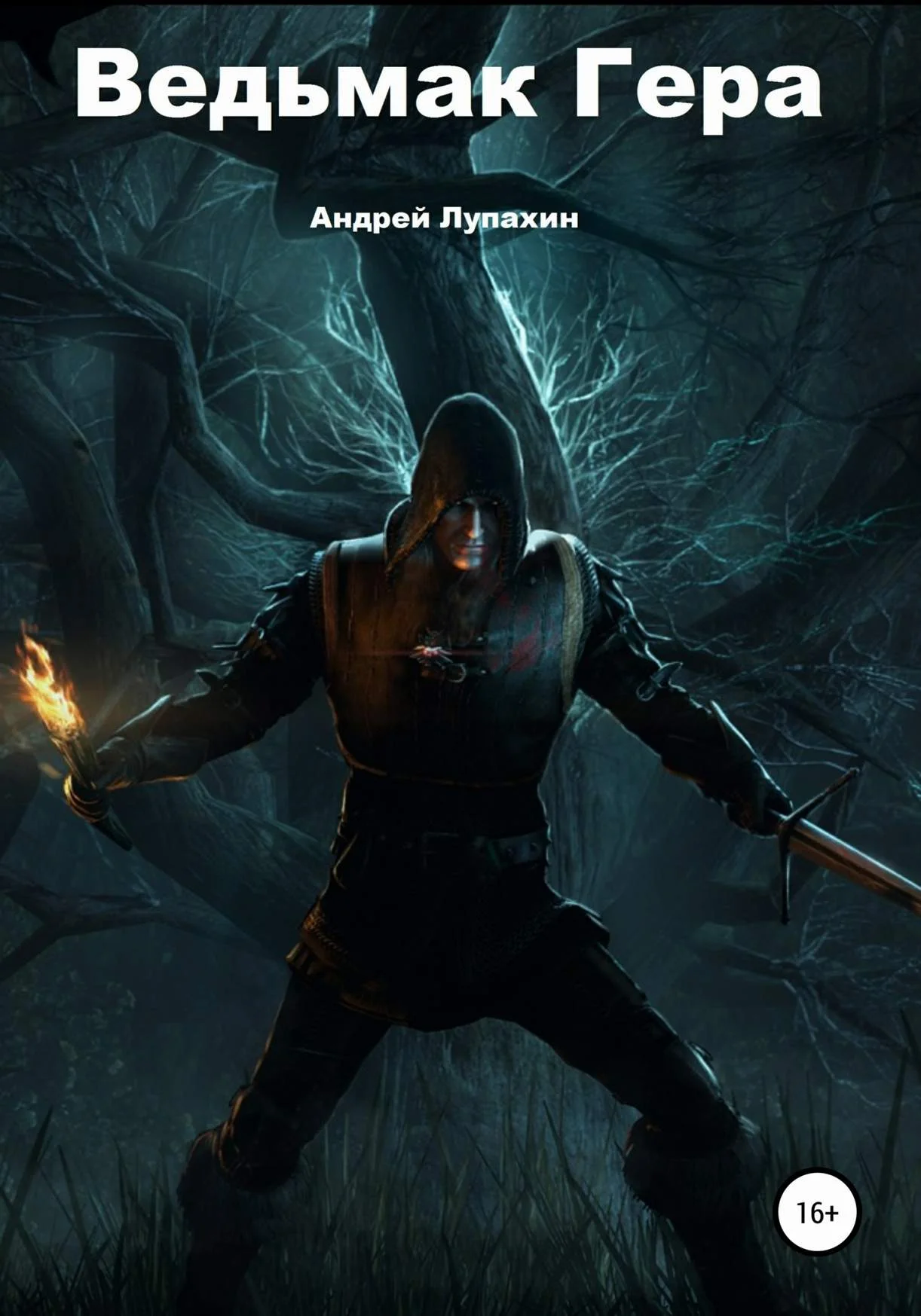 Обложка Ведьмак Гера