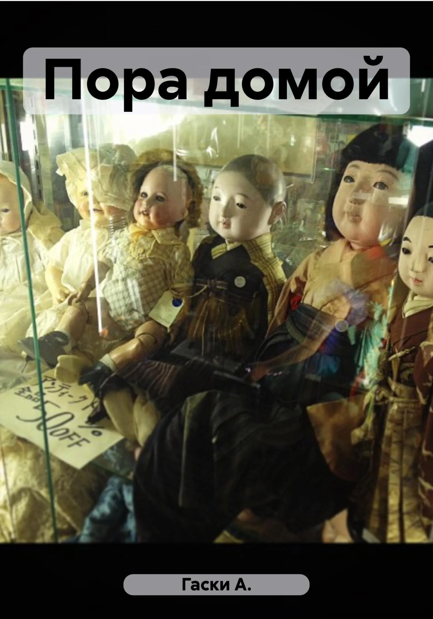 Обложка Пора домой