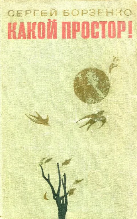 Обложка Какой простор! Книга вторая: Бытие