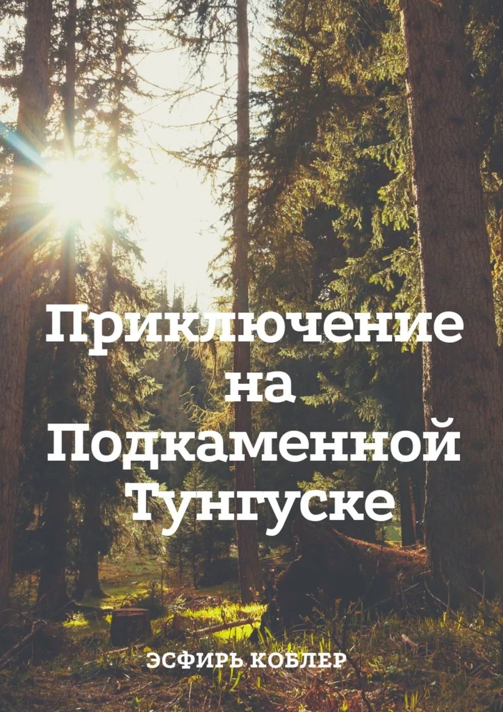 Обложка Приключение на Подкаменной Тунгуске