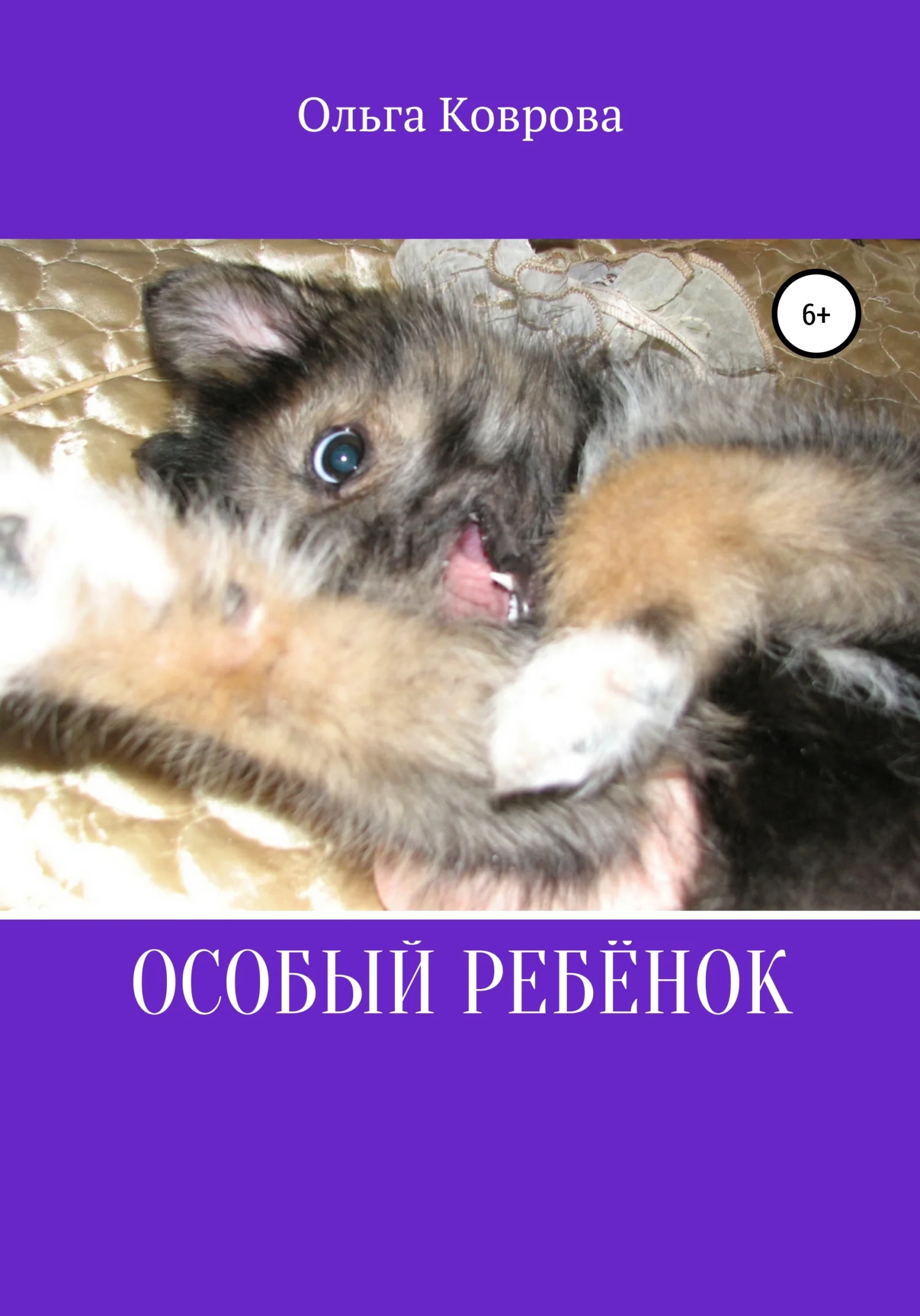 Обложка Особый ребенок