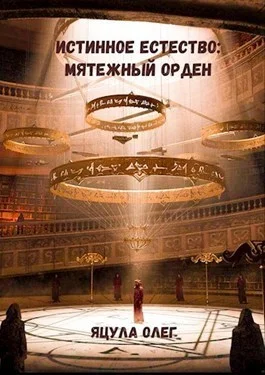 Обложка Мятежный орден