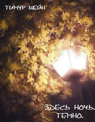 Обложка Здесь ночь. Темно.