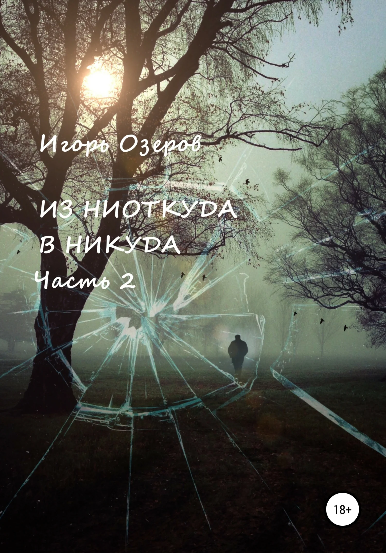 Обложка Из ниоткуда в никуда. Часть 2