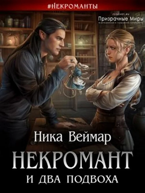 Обложка Некромант и два подвоха