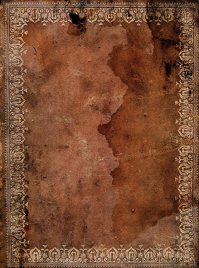 Обложка Дневник княгини Варвары Туркестановой, фрейлины Ее Императорского Величества Марии Фёдоровны, за 1818 год.