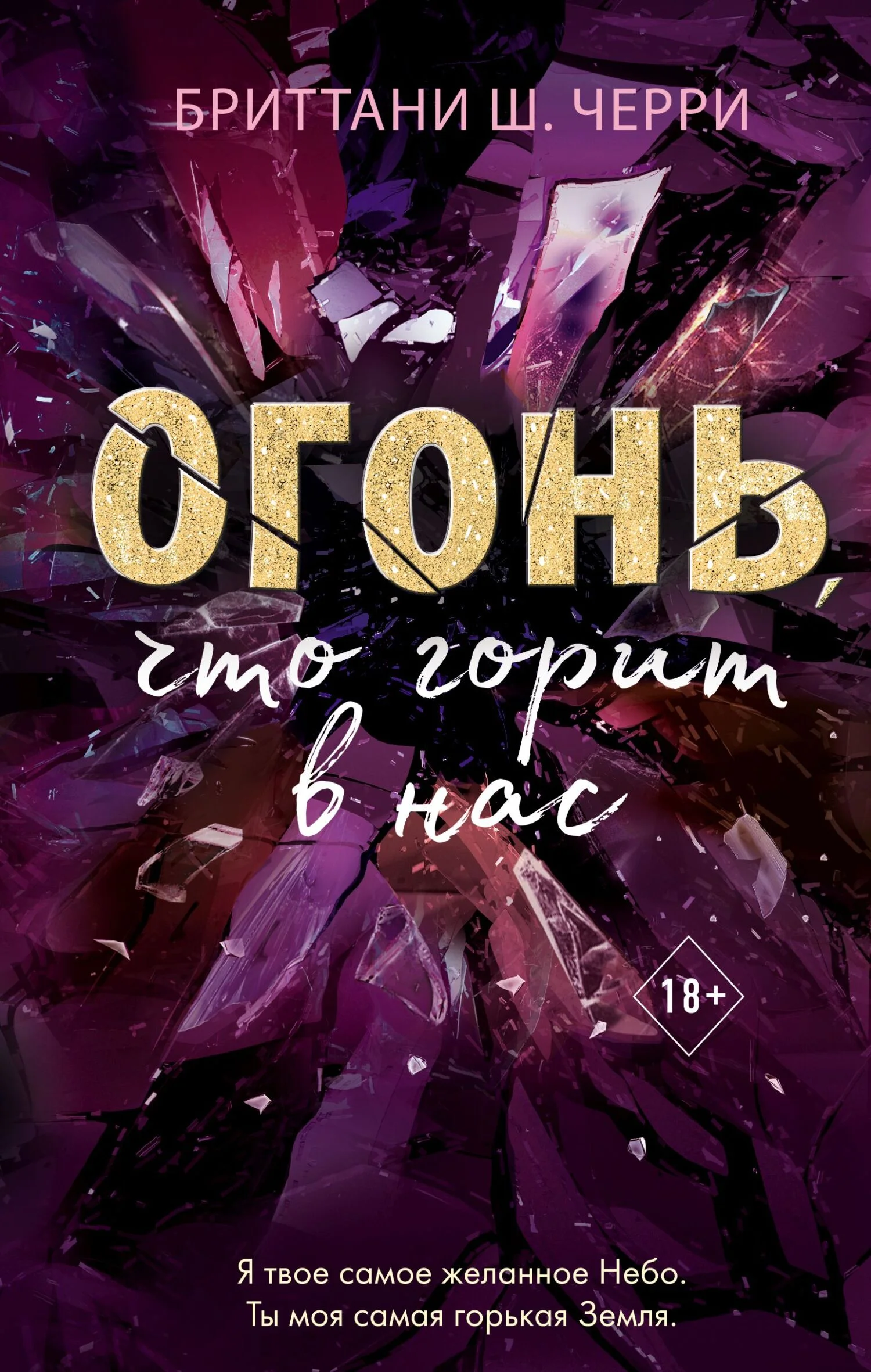 Обложка Огонь, что горит в нас