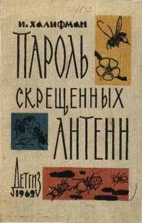 Обложка Пароль скрещенных антенн