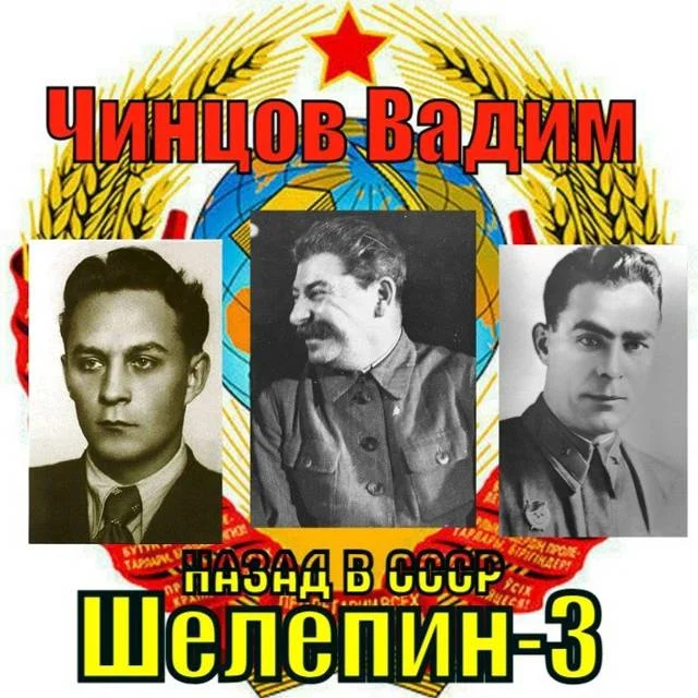 Обложка Назад в СССР. Шелепин 3