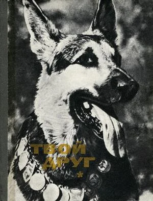 Обложка Твой друг (Сборник по собаководству, 1973 г. Выпуск 1)