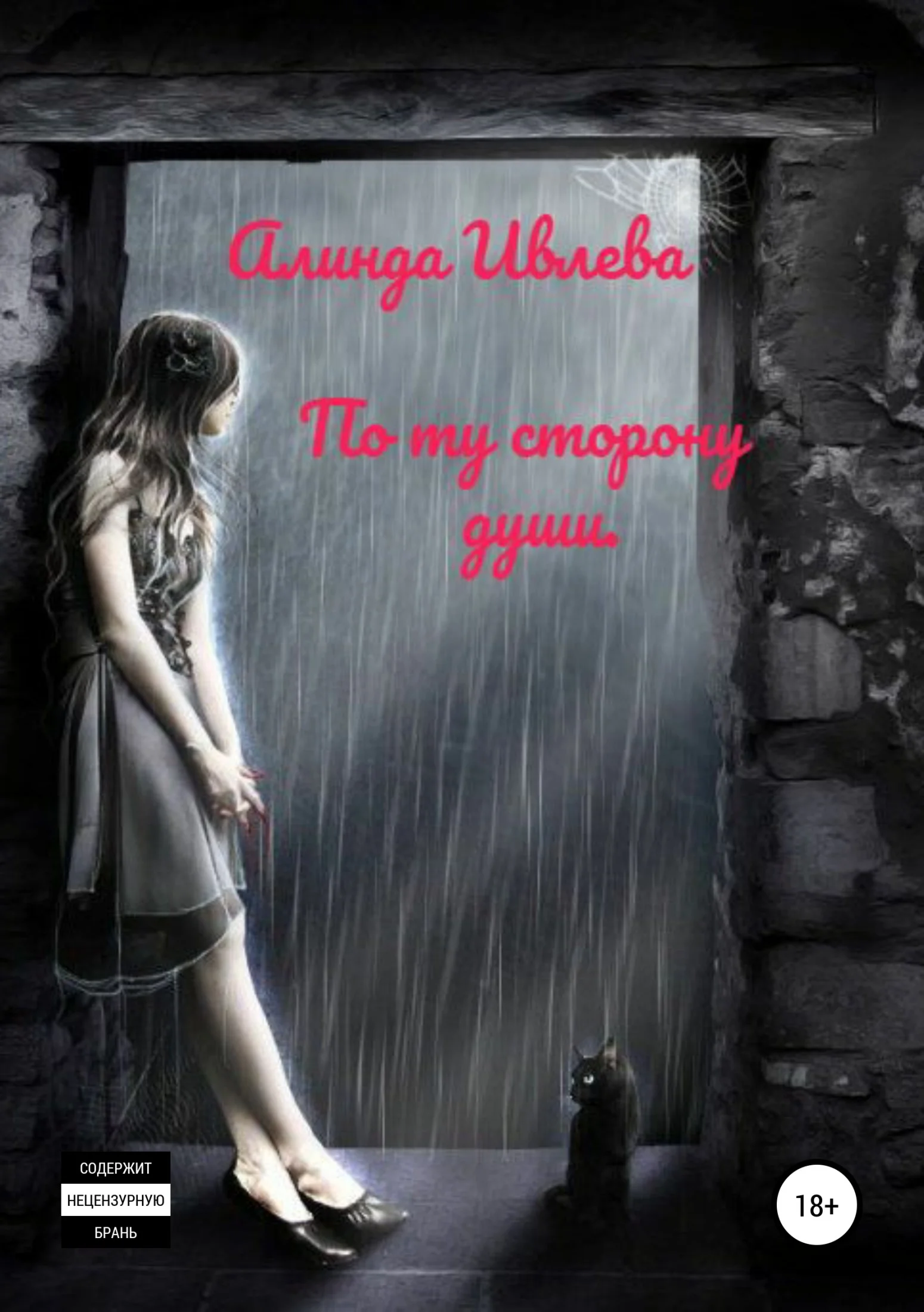 Обложка По ту сторону души