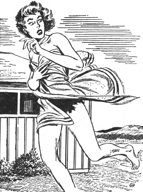 Обложка Логовище дракоптицы (сборник, том 2)