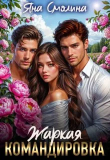 Обложка Жаркая командировка