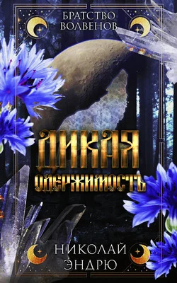 Обложка Дикая одержимость