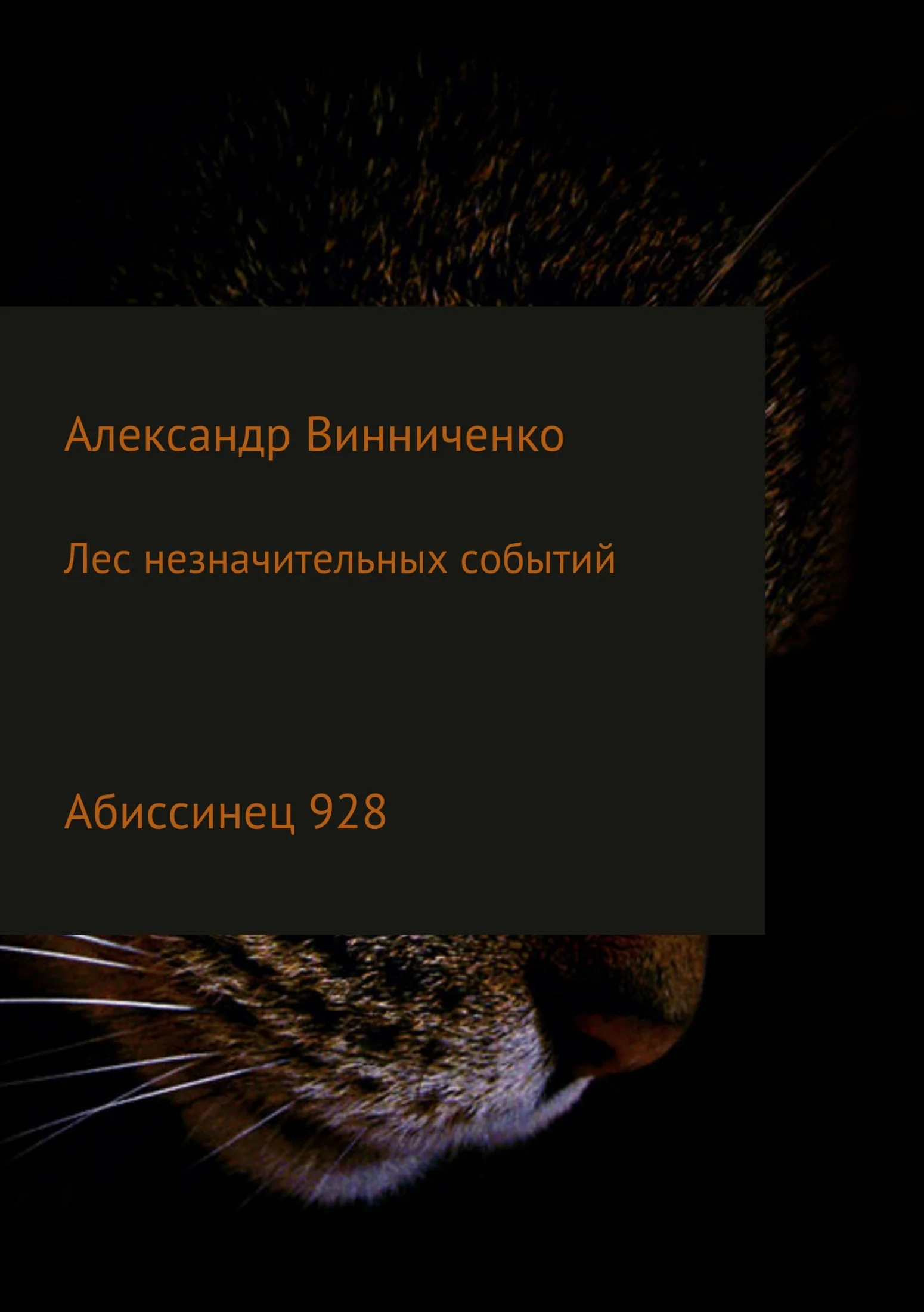 Обложка Абиссинец 928