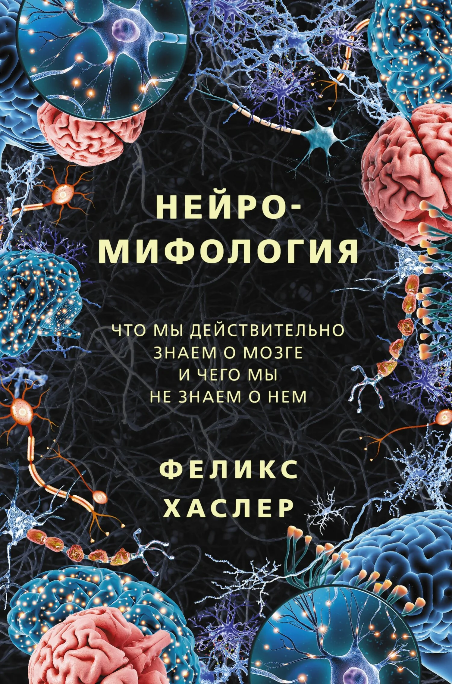 Обложка Нейромифология. Что мы действительно знаем о мозге и чего мы не знаем о нем