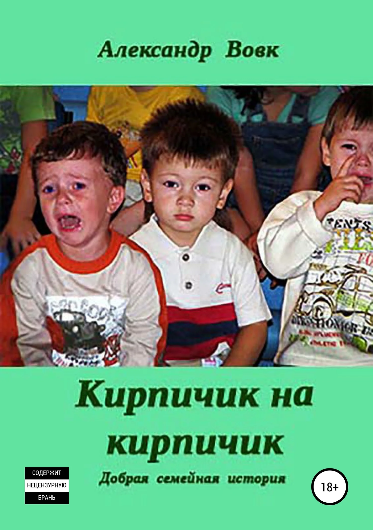 Обложка Кирпичик на кирпичик