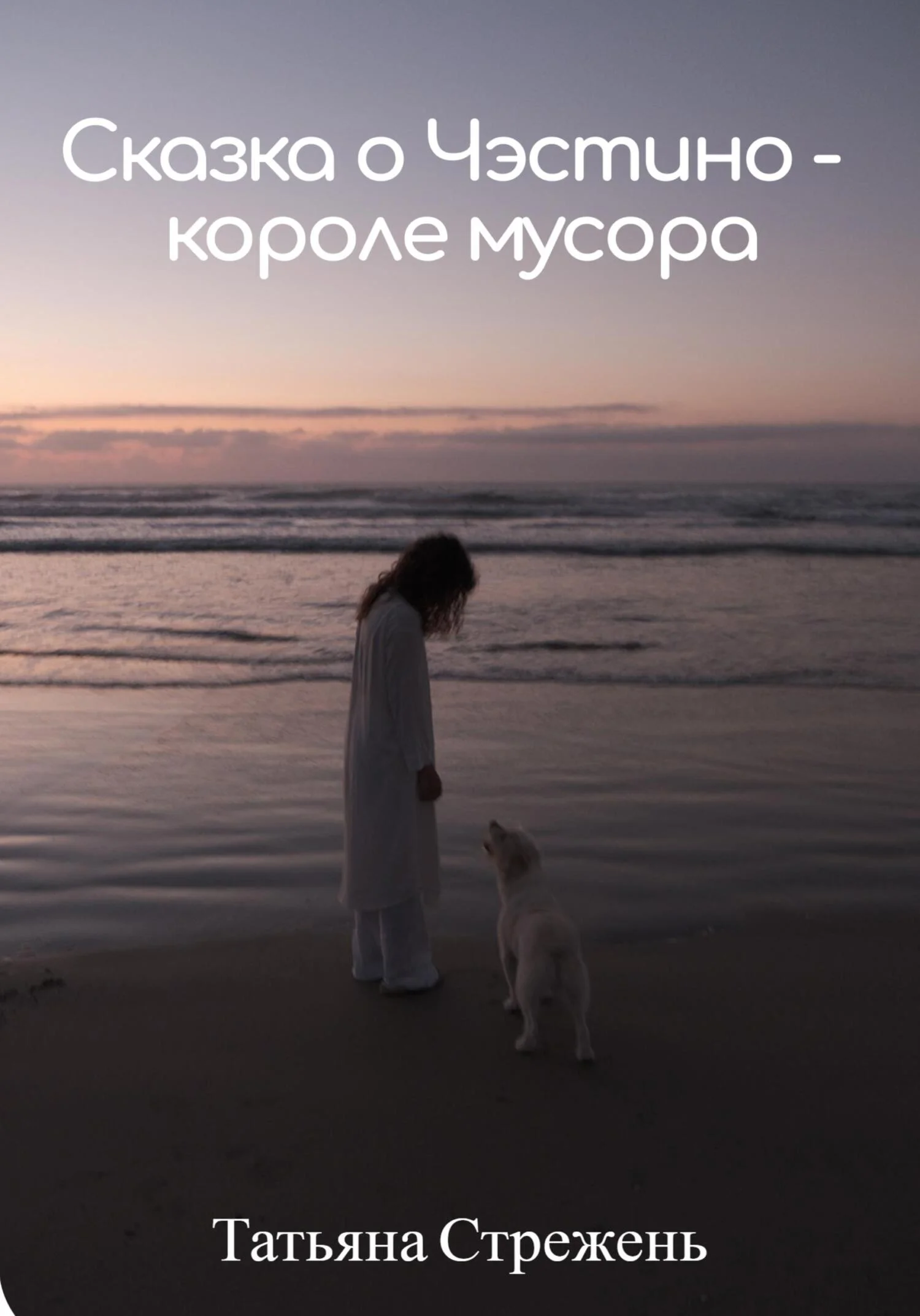 Обложка Сказка о Чэстино – короле мусора