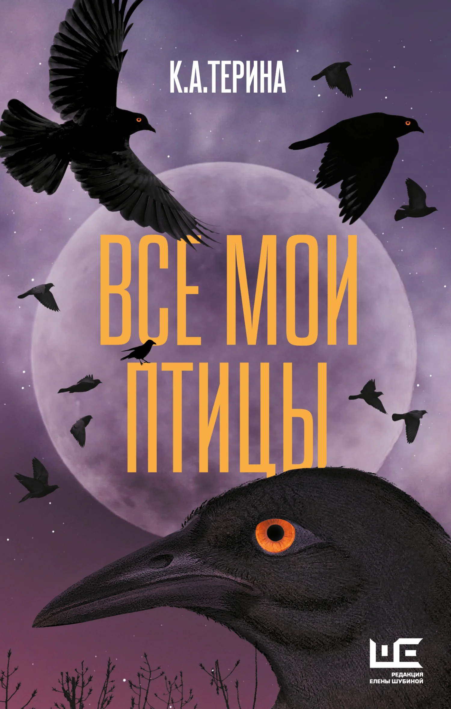 Обложка Все мои птицы