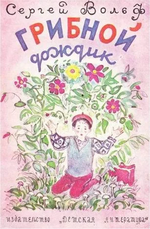 Обложка Грибной дождик