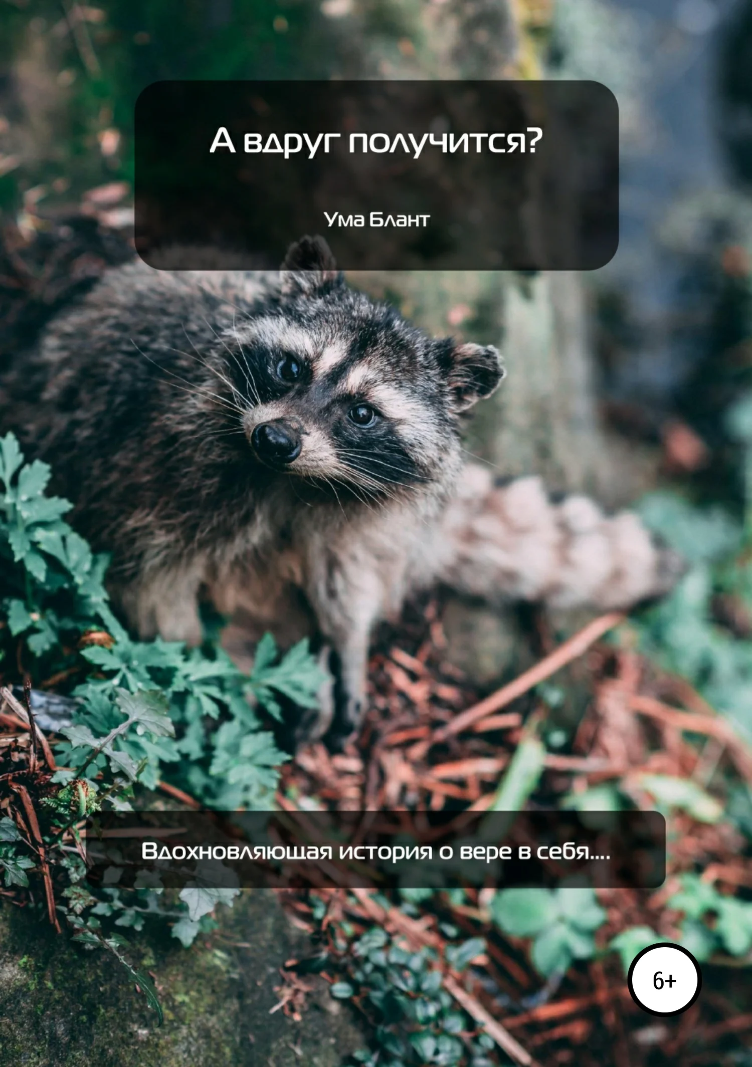 Обложка А вдруг получится?