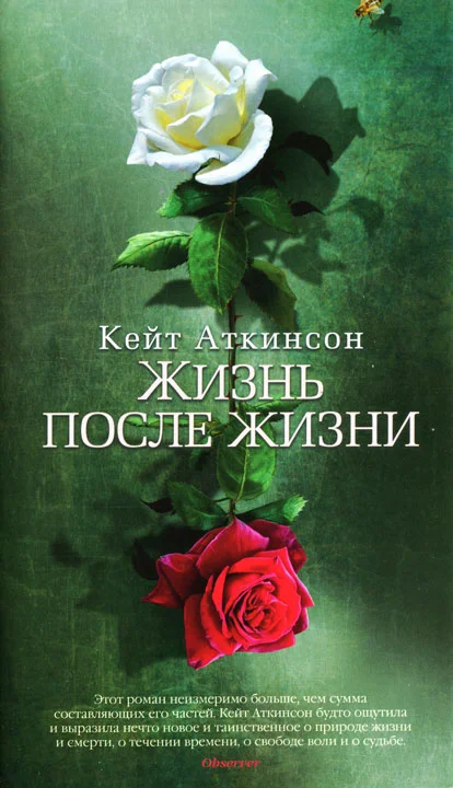 Обложка Жизнь после жизни