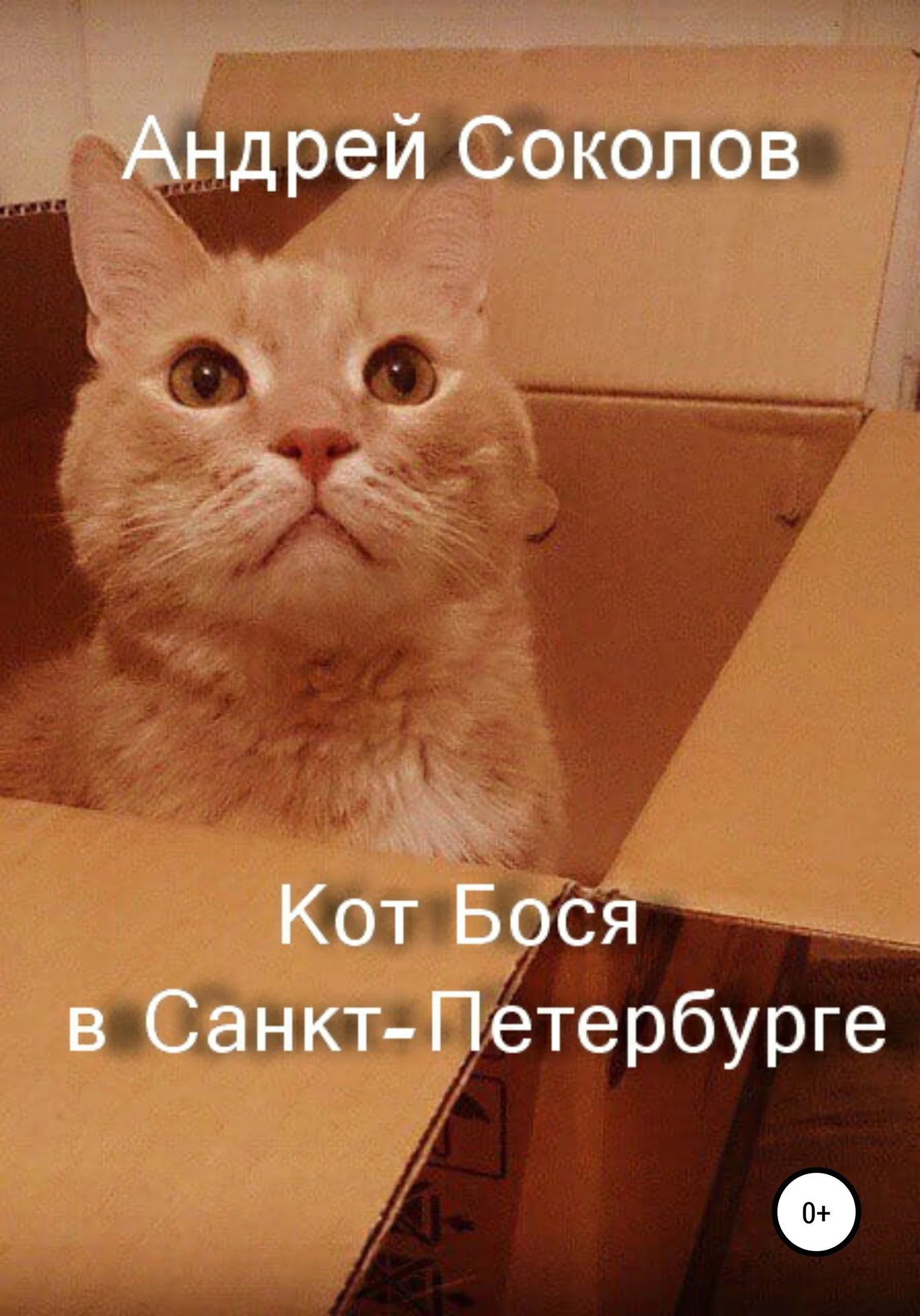 Обложка Кот Бося в Санкт-Петербурге