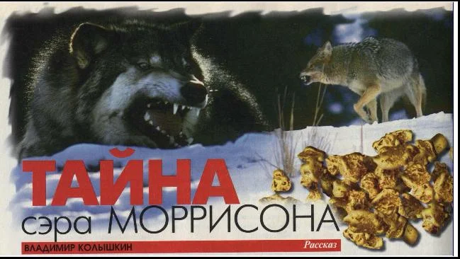 Обложка Тайна сэра Моррисона