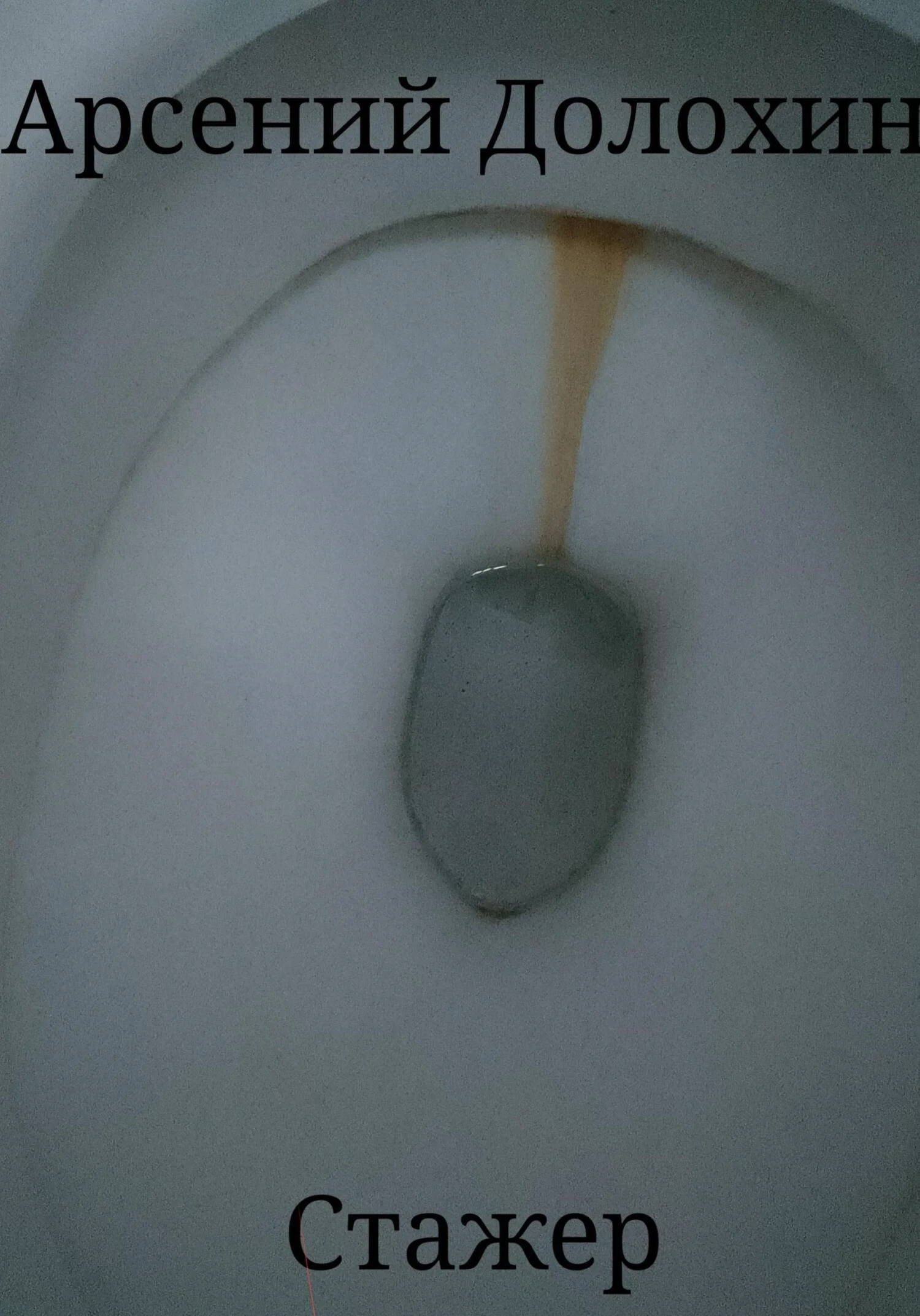 Обложка Стажер