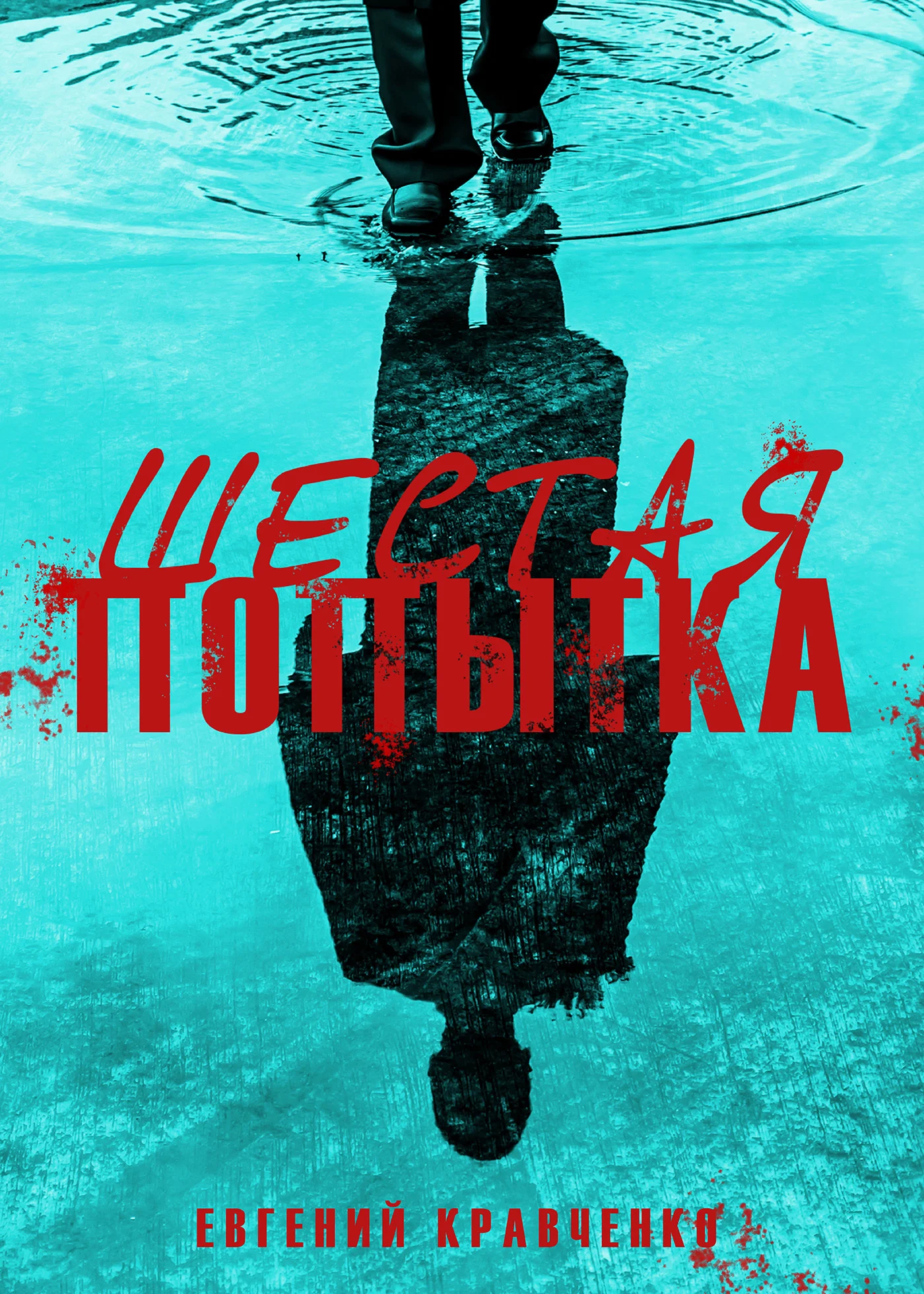 Обложка Шестая попытка