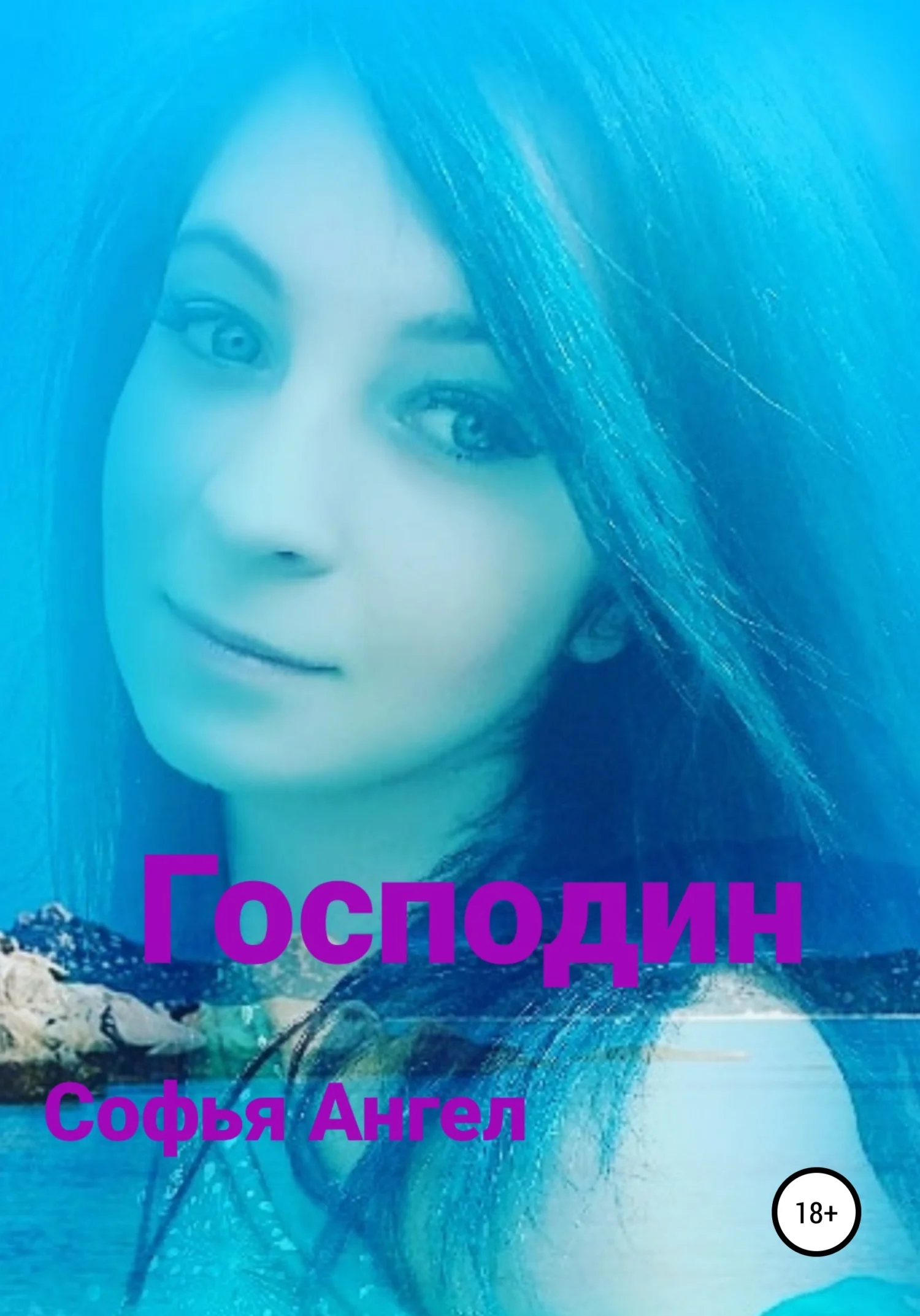 Обложка Господин