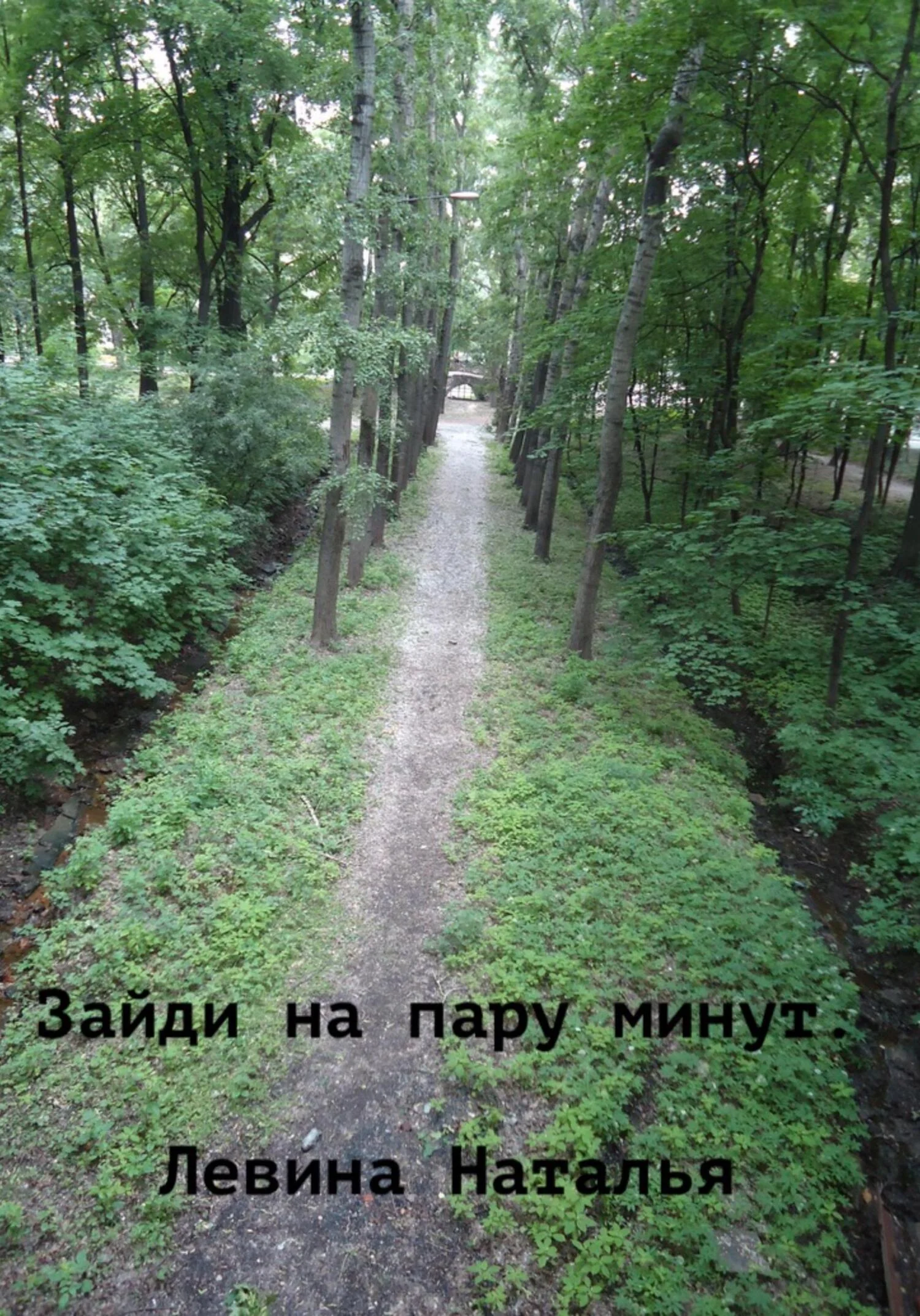 Обложка Зайди на пару минут