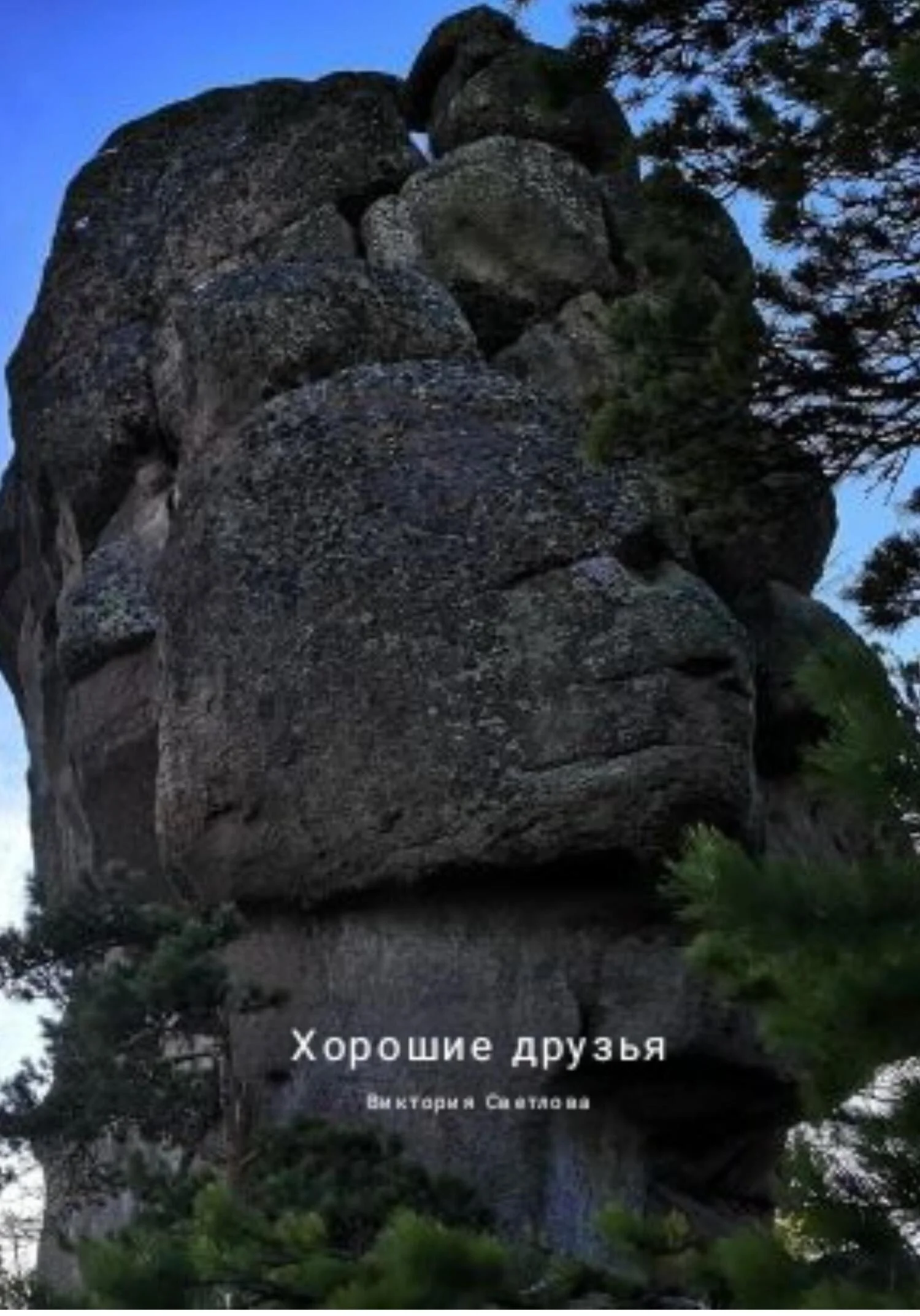 Обложка Хорошие друзья