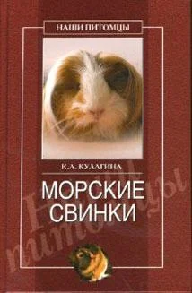 Обложка Морские свинки