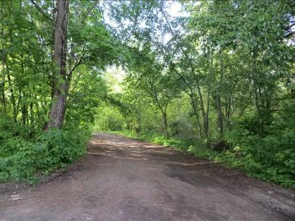 Обложка Развитие психиатрии в Вятском крае