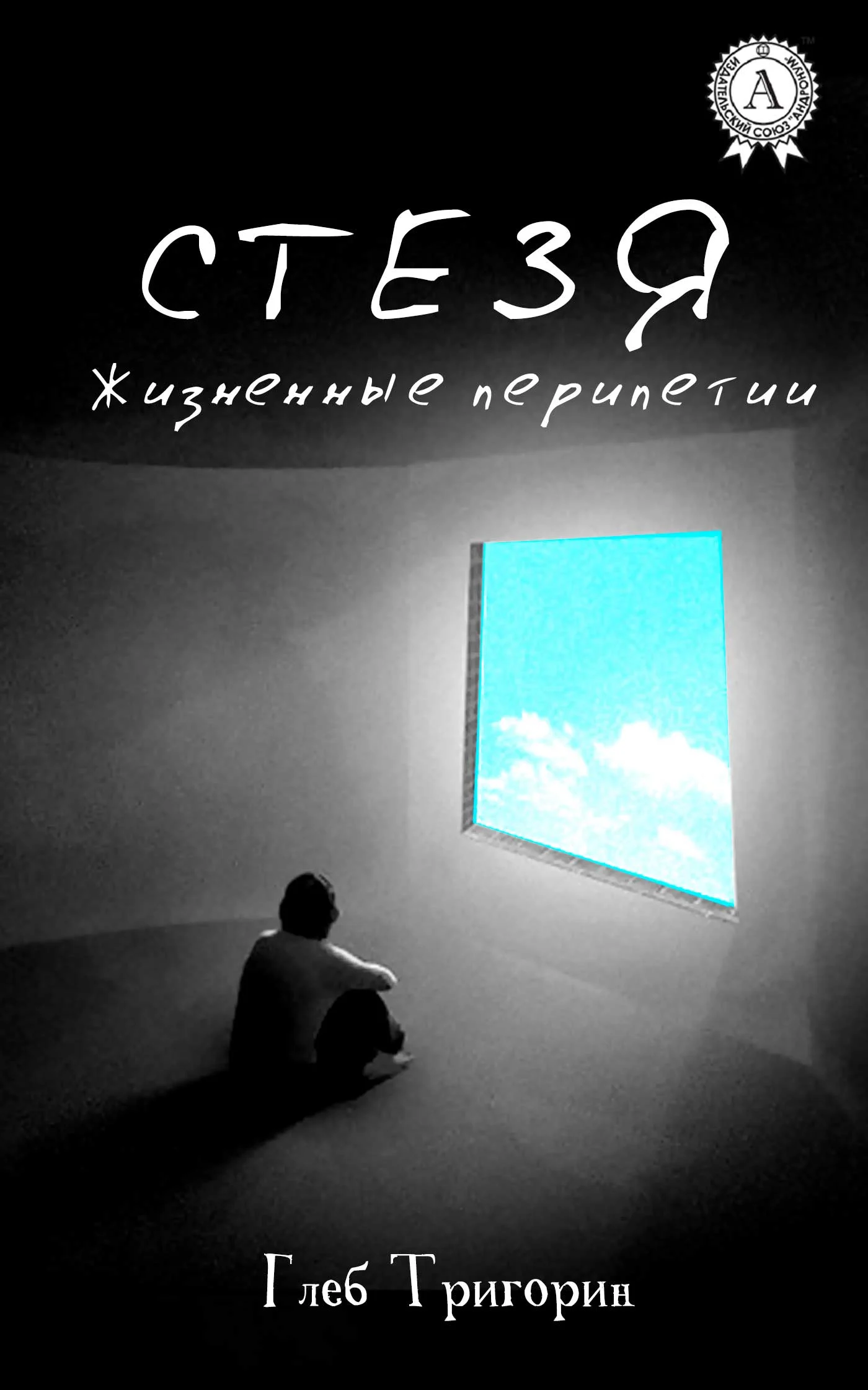 Обложка Стезя. Жизненные перипетии