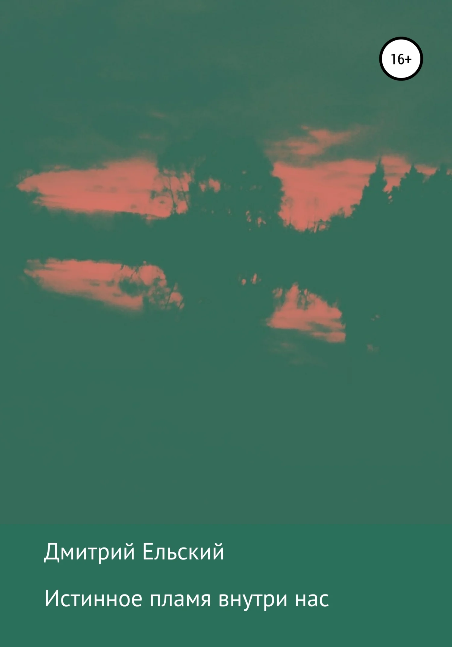 Обложка Истинное пламя внутри нас