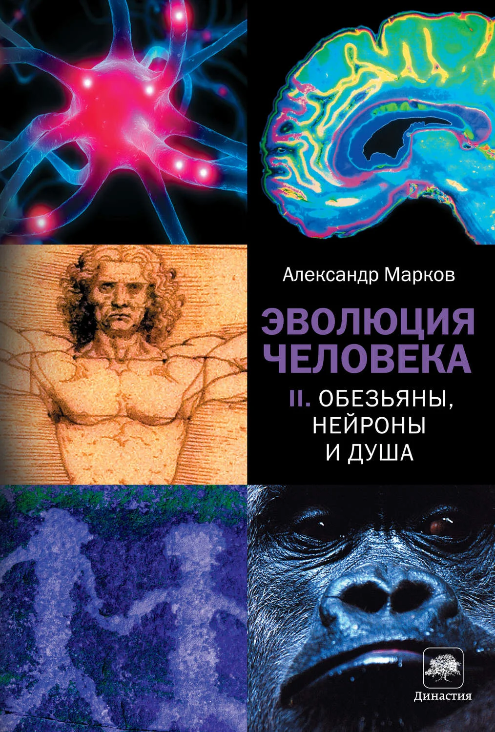 Обложка Эволюция человека. Книга II. Обезьяны, нейроны и душа