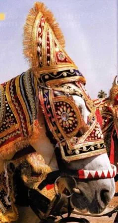 Обложка Национальные украшения лошадей