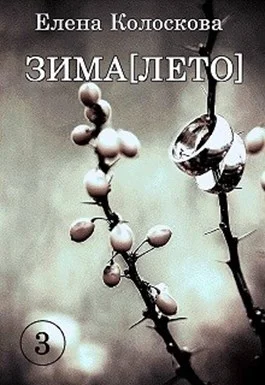 Обложка ЗИМА[ЛЕТО]. Книга 3