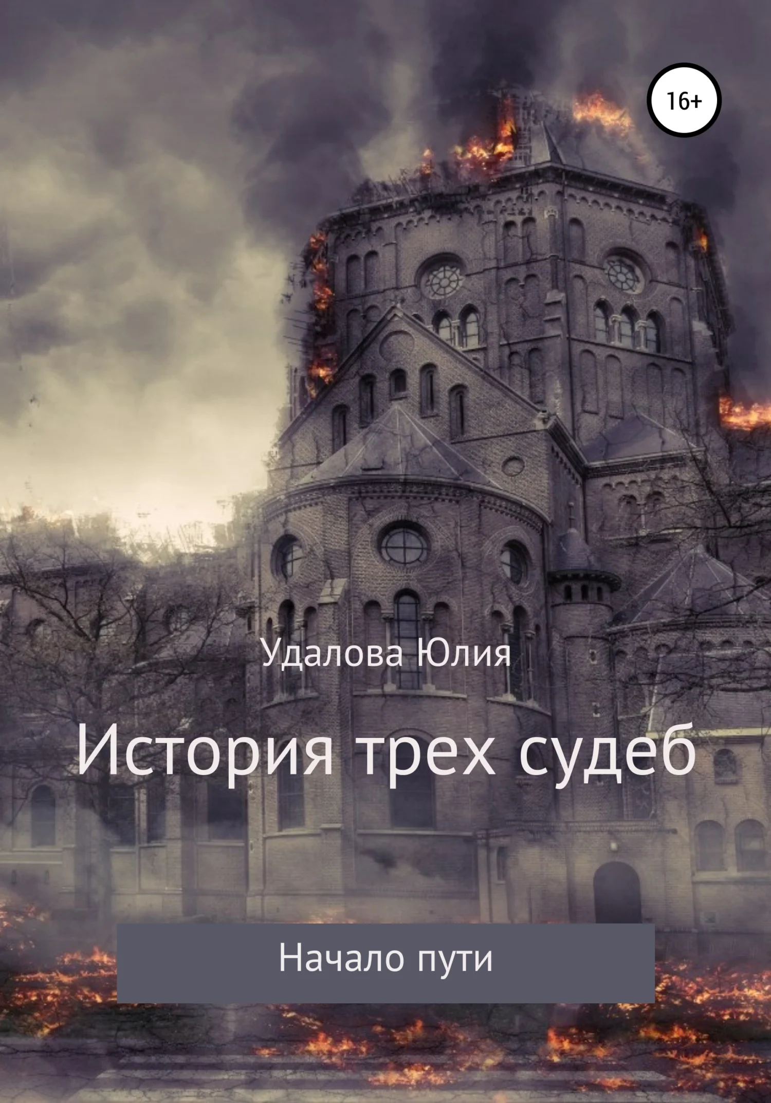 Обложка История трёх судеб. Начало пути