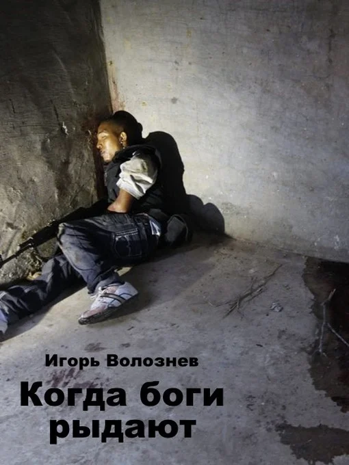 Обложка Когда боги рыдают (СИ)
