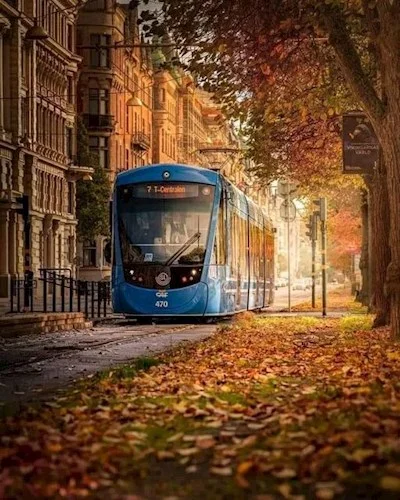 Обложка Пищевая цепочка