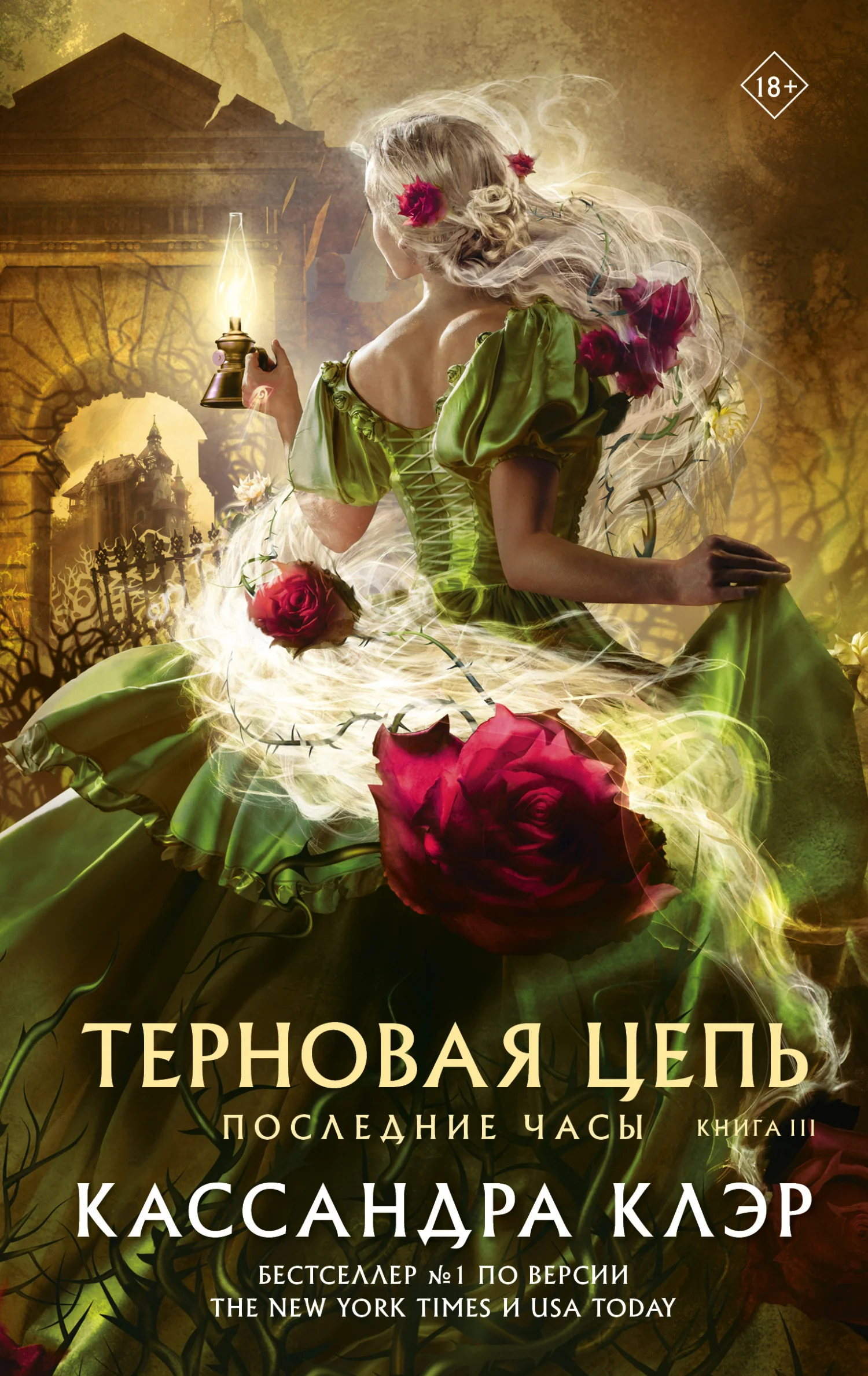 Обложка Терновая цепь